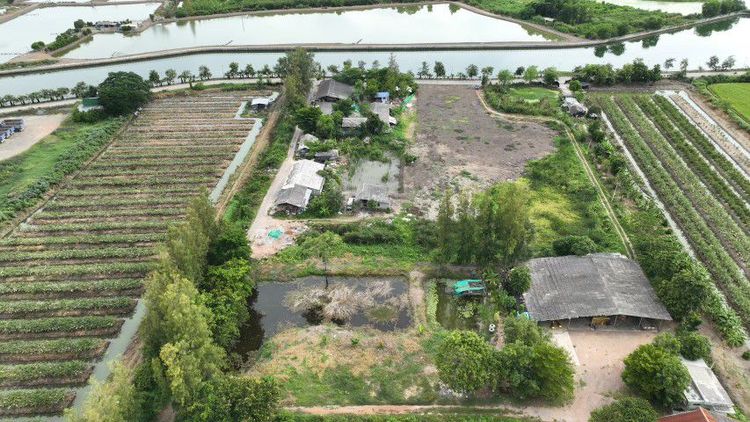 ใช่ 🌆📣ทำเลทองตัวโซนเมืองนครปฐม 🚨ล้อมรอบไปด้วยโครงการหมู่บ้านจัดสรร🏪ห้างเซ็นทรัลนครปฐม5กิโลเมตร