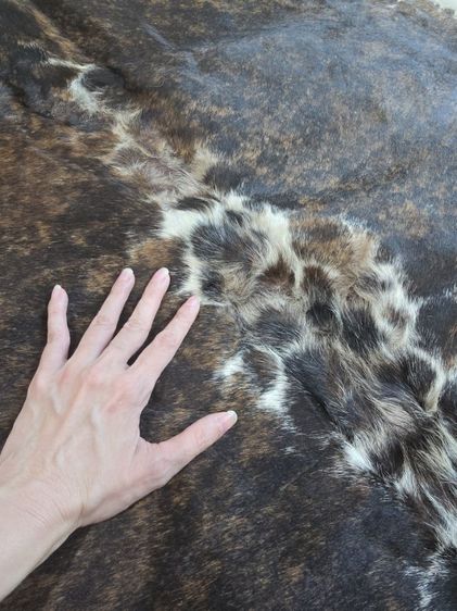 พรมikea รุ่น Koldby cow hide รูปที่ 3