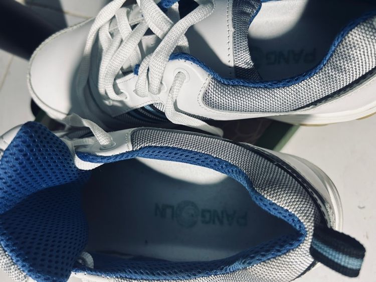 รองดท้าหัวเหล็กpangalin รูปที่ 2