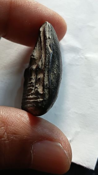 พระเนื้อดินเผา พิมพ์ ตรีกาย หลวงพ่อแดง วัดทุ่งคอก จังหวัดสุพรรณ คุกรัก เก่าตามภาพ รูปที่ 6