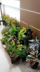 ขายทาวเฮ้าส์ หมู่บ้านโฮมอินทาวน์