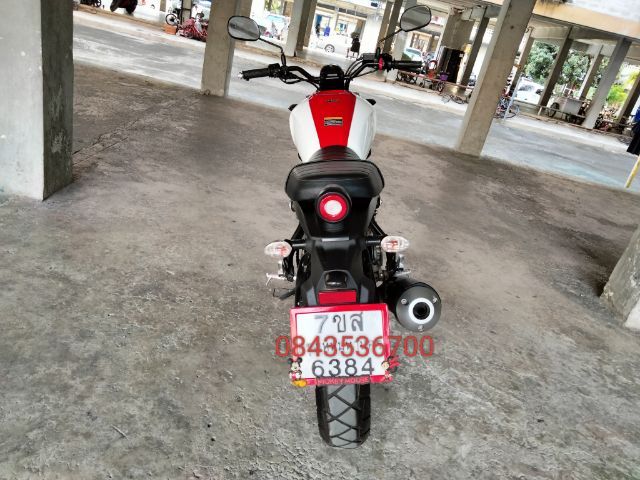 ขาย  รูปที่ 15