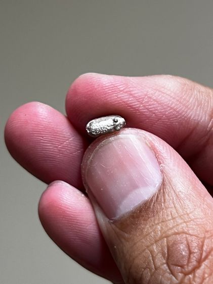 หมูมหาลาภ หลวงพ่อเปิ่น พิมพ์จิ๋ว ปี 2541 เนื้อเงิน วัดบางพระ จ.นครปฐม รูปที่ 3