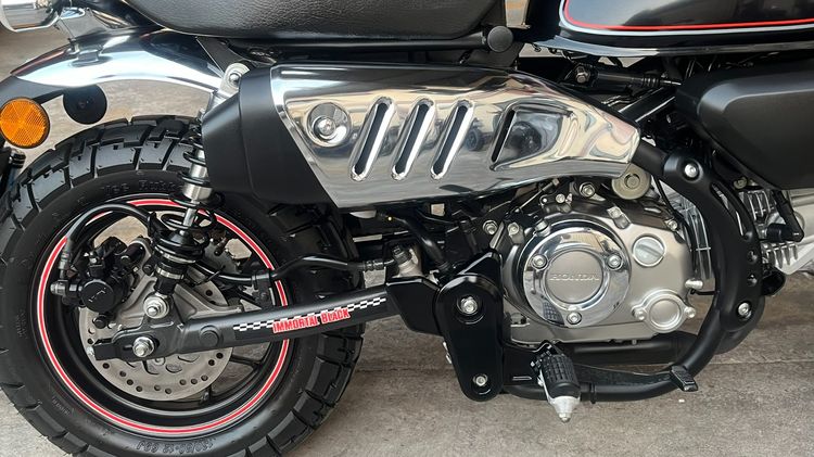 Monkey Immortal Black ไมล์ 326 km. รูปที่ 15