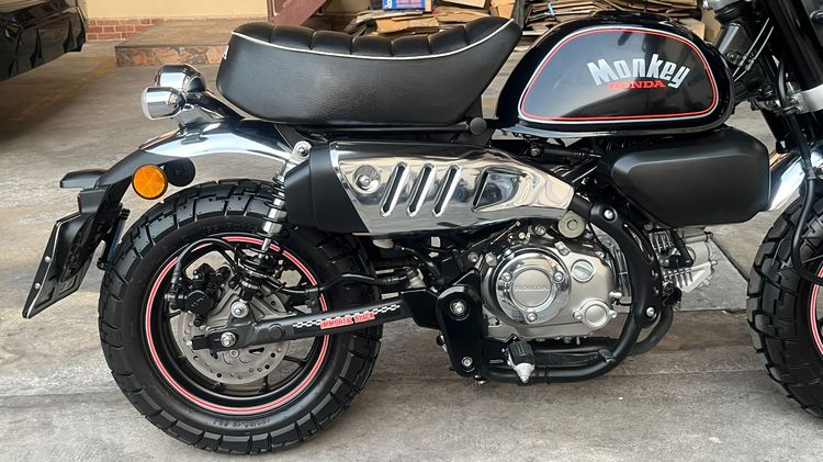Monkey Immortal Black ไมล์ 326 km. รูปที่ 11