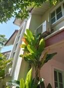 อื่นๆ มีบางส่วน บ้านเดี่ยว2ชั้น