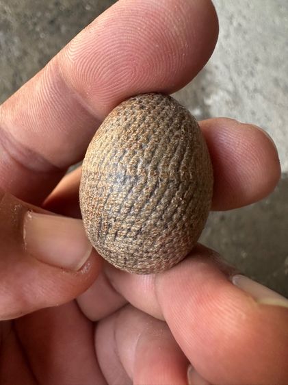 เบี้ยแก้ รูปที่ 3