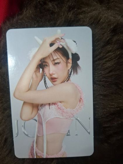 การ์ด SUNSU×4EVE