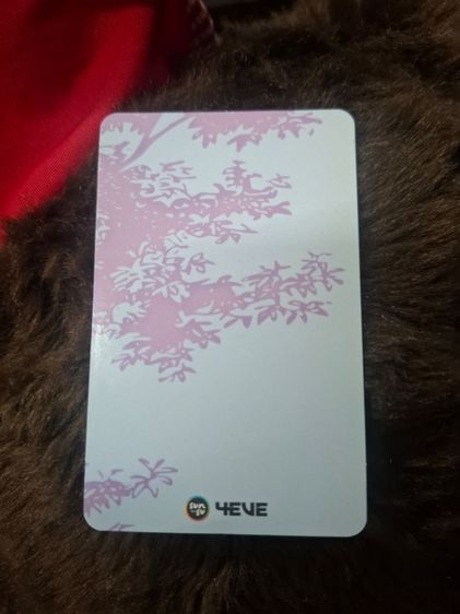 การ์ด SUNSU×4EVE รูปที่ 2