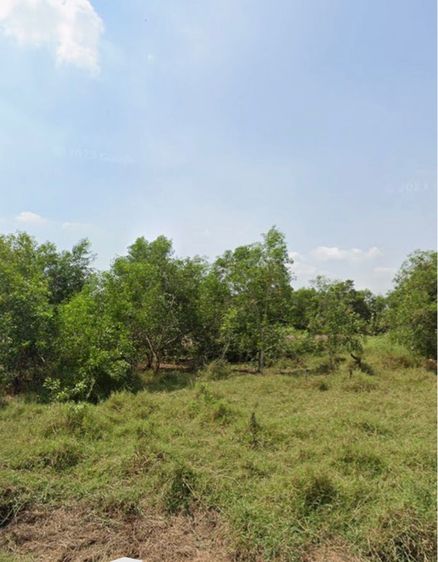 ไม่ใช่ ขายด่วนที่ดินเปล่า 1 ไร่ หนองจอก กรุงเทพฯ  รูปที่ 4