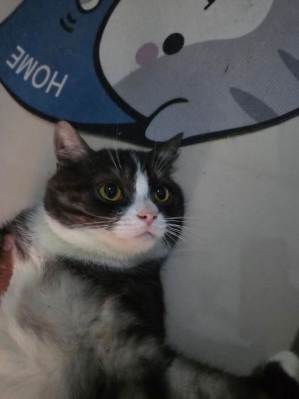 ลดประชากร