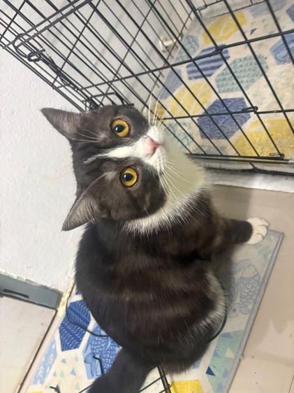 ลดประชากร รูปที่ 3