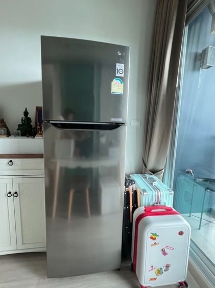 ตู้เย็น 2 ประตู ตู้เยน LG 9.2 คิว