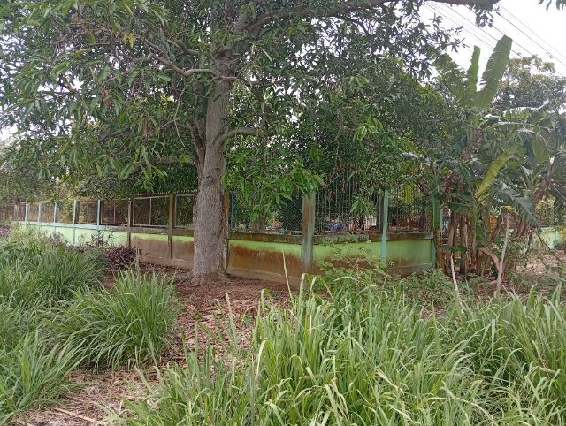 ขายบ้านพร้อมที่ดิน รูปที่ 2