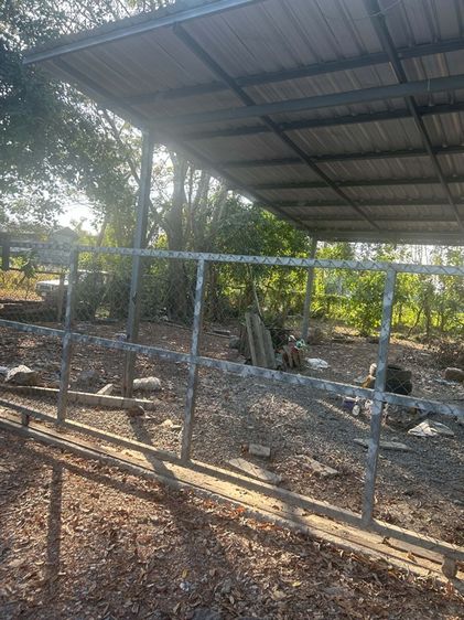 ใช่ ที่ดินเชียงใหม่ ดอยสะเก็ด 90 ตารางวา รูปที่ 4