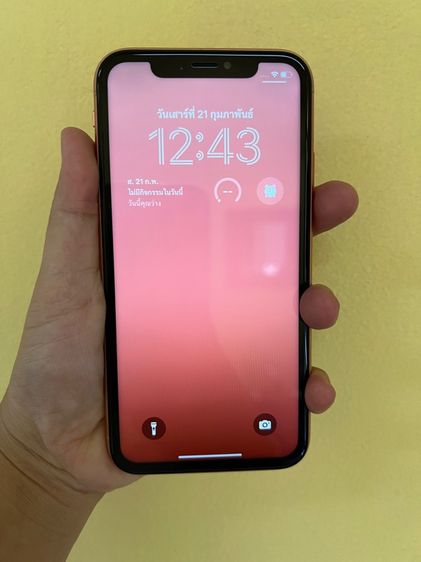 iPhone XR