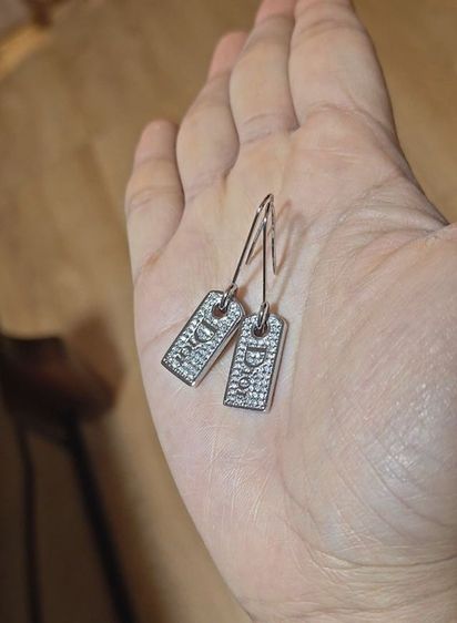 อื่นๆ ต่างหูคริสเตียนดิออร์แท้