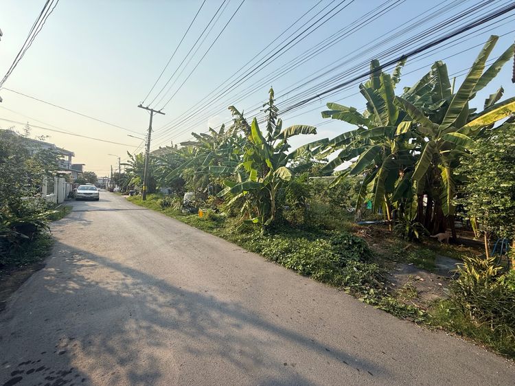 ขายที่ดินถมแล้ว 209 ตารางวา ใกล้บึงหนองบอน สวนหลวง ร.9 รูปที่ 3