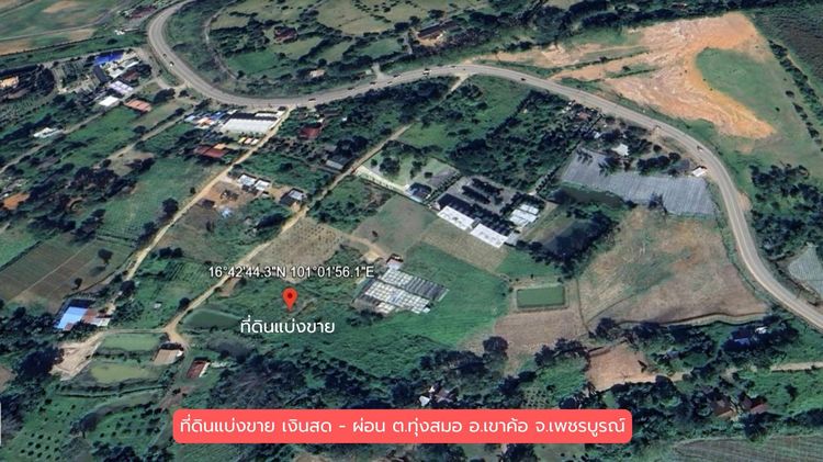 ที่ดินแบ่งขาย เงินสด-เงินผ่อน โฉนดครุฑแดง วิวภูเขา ต.ทุ่งสมอ อ.เขาค้อ จ.เพชรบูรณ์ รูปที่ 3