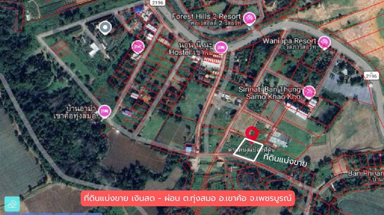 ที่ดินแบ่งขาย เงินสด-เงินผ่อน โฉนดครุฑแดง วิวภูเขา ต.ทุ่งสมอ อ.เขาค้อ จ.เพชรบูรณ์