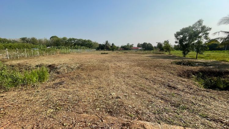  ที่ดินแบ่งขาย เงินสด-เงินผ่อน จ.เพชรบูรณ์ โครงการ “ไฮไลฟ์พร๊อพเพอร์ตี้” รูปที่ 3