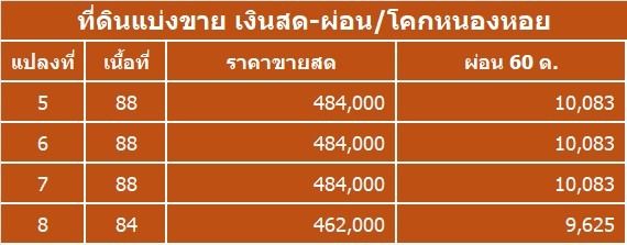  ที่ดินแบ่งขาย เงินสด-เงินผ่อน จ.เพชรบูรณ์ โครงการ “ไฮไลฟ์พร๊อพเพอร์ตี้” รูปที่ 2