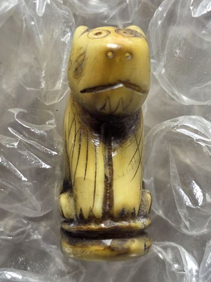 เสือหุบปากมาหาอำนาจ  รูปที่ 2