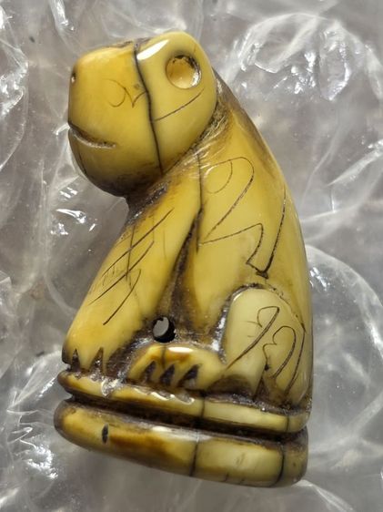 เสือหุบปากมาหาอำนาจ 