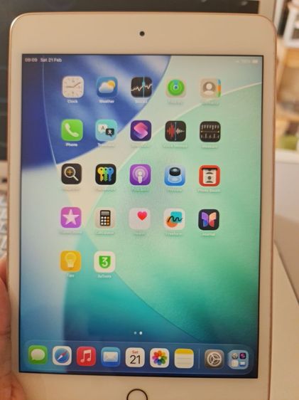 ipad mini 5 Wifi 64Gb รูปที่ 11