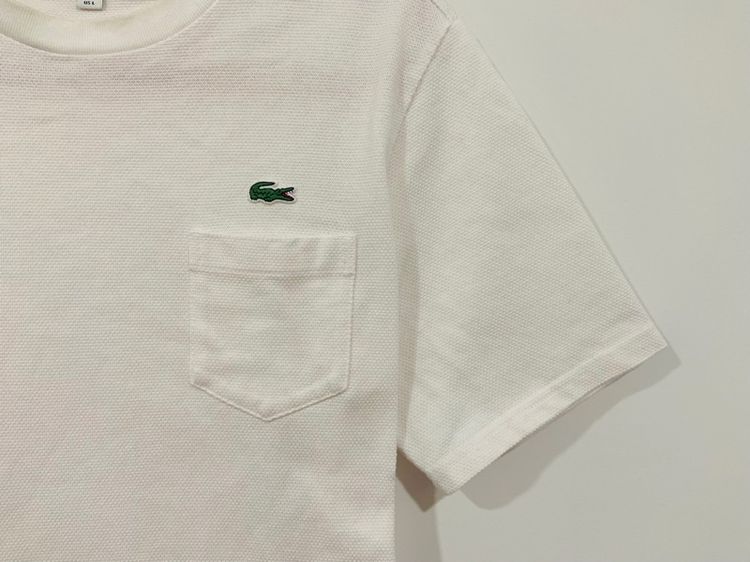 เสื้อยืด LACOSTE กระเป๋าอกซ้าย แท้ 💯 size 5 ขนาด อก 21 ยาว 27.5 นิ้ว สภาพใหม่มาก ทรงสวย เนื้อผ้านิ่มมาก หายากน่าสะสมครับ รูปที่ 2
