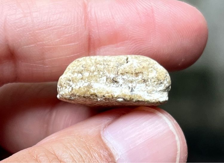 พระนางพญา รูปที่ 4