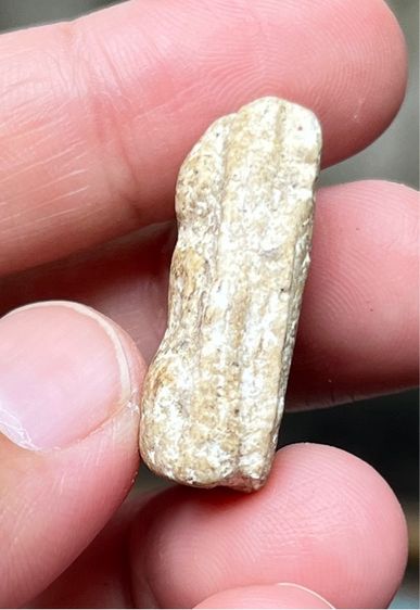 พระนางพญา รูปที่ 5