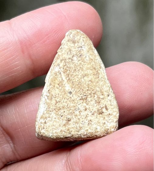 พระนางพญา รูปที่ 2