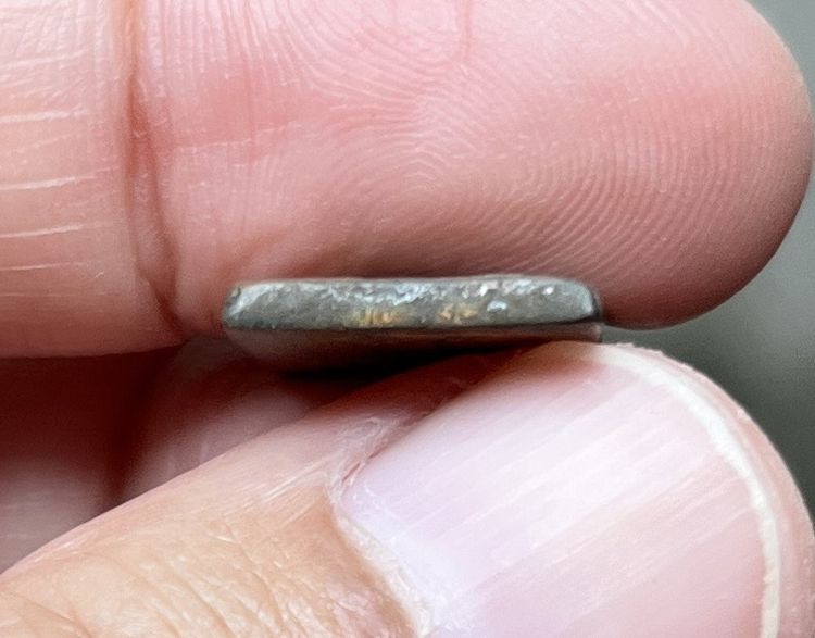 เหรียญหลวงปู่ศุข รูปที่ 4