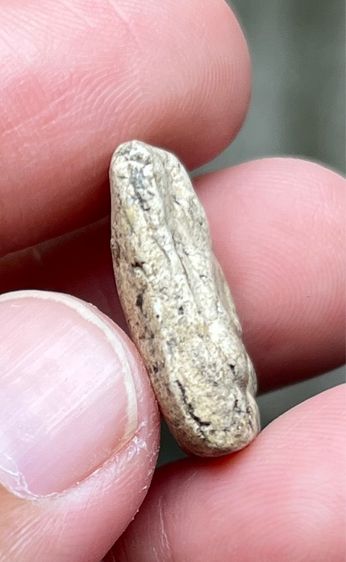 หลวงปู่เผือก รูปที่ 3