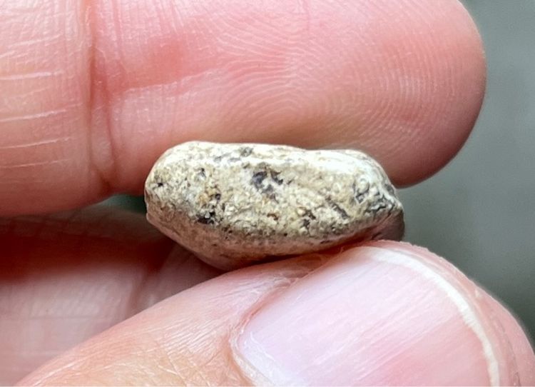 หลวงปู่เผือก รูปที่ 4