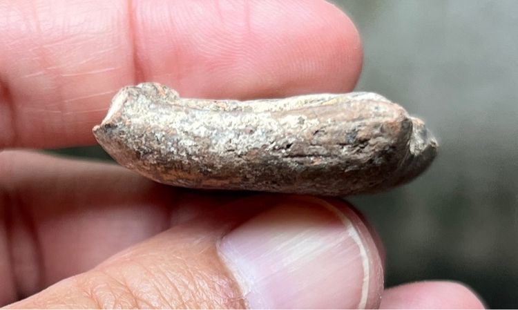 พระกรุ เก่าๆ รูปที่ 4