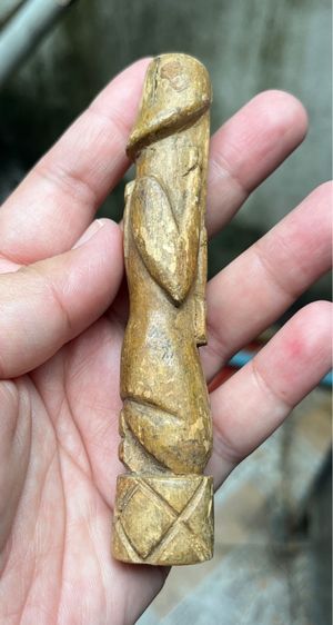 ปลัดขิกไม้ รูปที่ 3