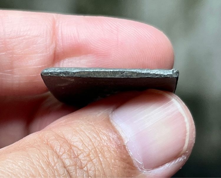 เหรียญสิบทัศ หลวงพ่อเงิน รูปที่ 4