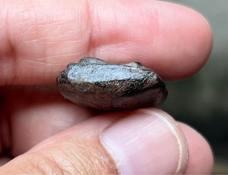 หลวงปู่บุญ รูปที่ 4