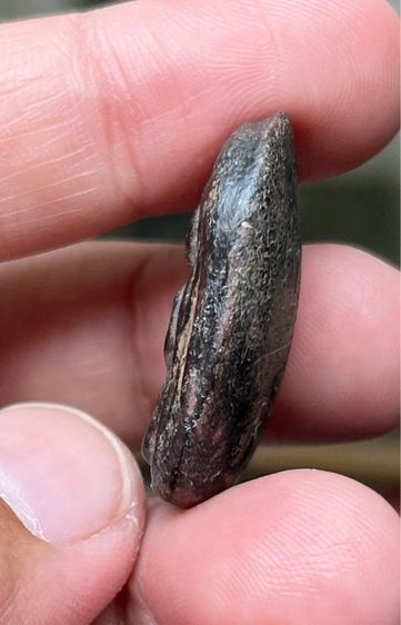 หลวงปู่บุญ รูปที่ 5