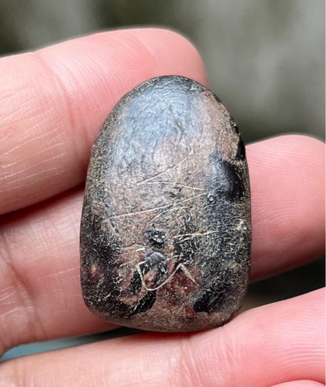 หลวงปู่บุญ รูปที่ 2