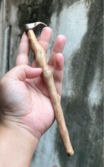 ขอเกี่ยวช้าง ขนาดบูชา