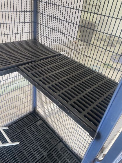 บ้านสุนัข กรงแมว รูปที่ 17