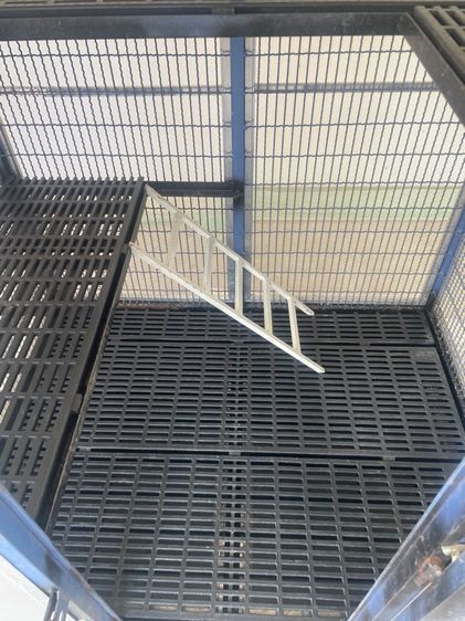 บ้านสุนัข กรงแมว รูปที่ 18