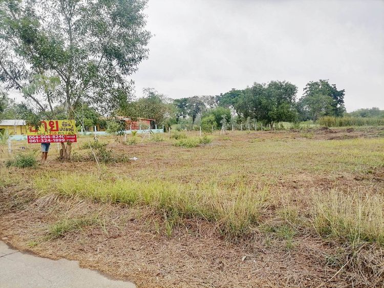 ที่ดินเปล่า 310 ตรว. วังน้อย อยุธยา รูปที่ 2