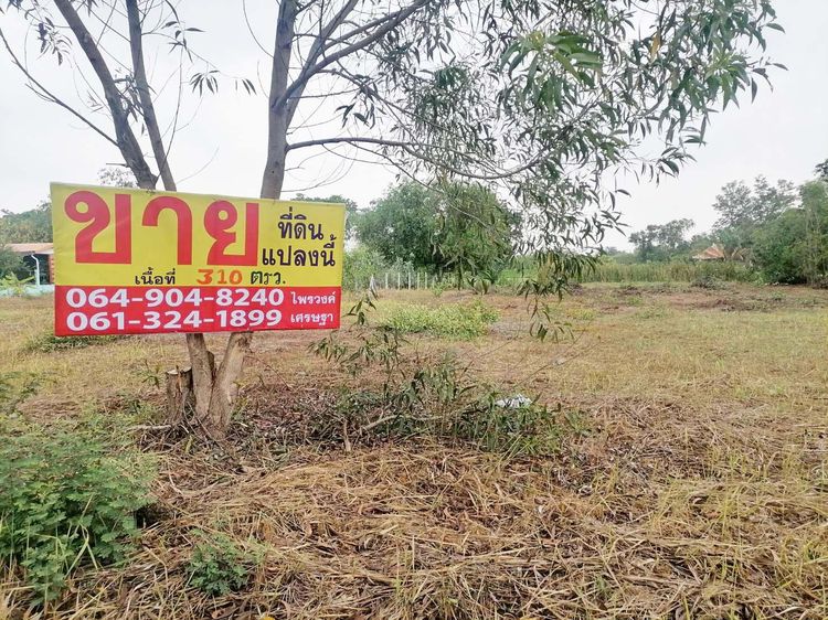 ที่ดินเปล่า 310 ตรว. วังน้อย อยุธยา