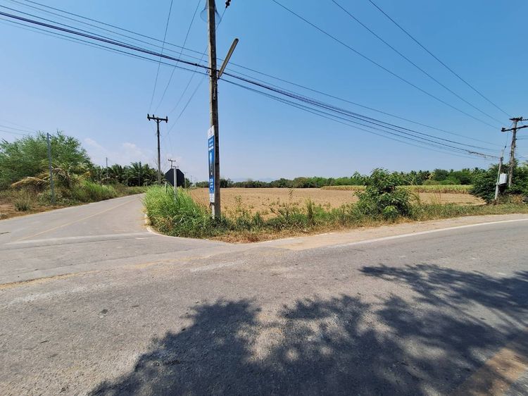 ขายที่ดินเปล่า 3 ไร่ ติดถนน อ.ชะอำ จ.เพชรบุรี  รูปที่ 4