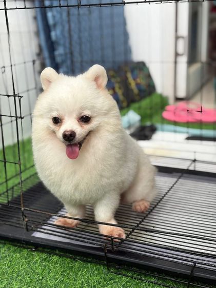 น้อง ลักกี้ รูปที่ 3