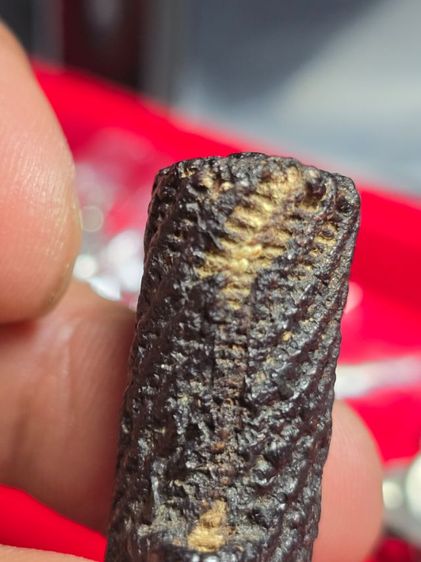 ตะกรุดไม้ครูวัดอินทร์ รูปที่ 8